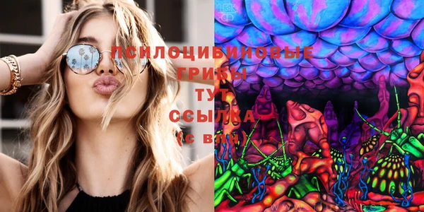 герыч Козловка