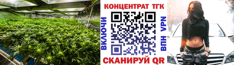 Купить где  Красный Холм  Дистиллят ТГК THC oil 